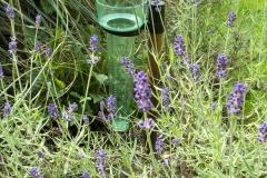 Lavendel, Wassermesser