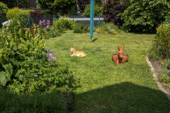 Blick auf den Garten