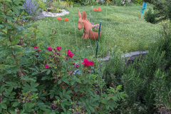 Blick quer über den Garten