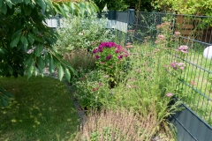 Blick auf das Staudenbeet mit Schmetterlingsflieder, Phlox, Ziersalbei, Bienenweide und Schafgabe