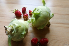 Die ersten Kohlrabi und Erdbeeren aus dem Garten