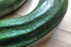 Die ersten Zucchini