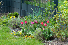 rechter Gartenrand