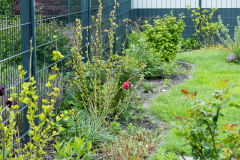 Gartengrenze links