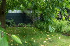 Blick unterm Kirschbaum her zur rechten Gartenecke