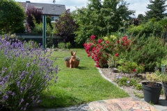 Blick durch den Garten