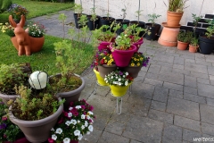 Tomaten, Erdbeeren, Kräuter und Blumen auf der Terrasse