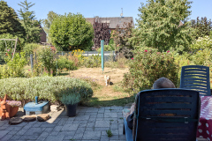 Blick in den Garten